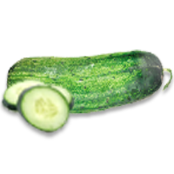 Cucumber & melon