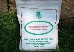 Biofertilizers