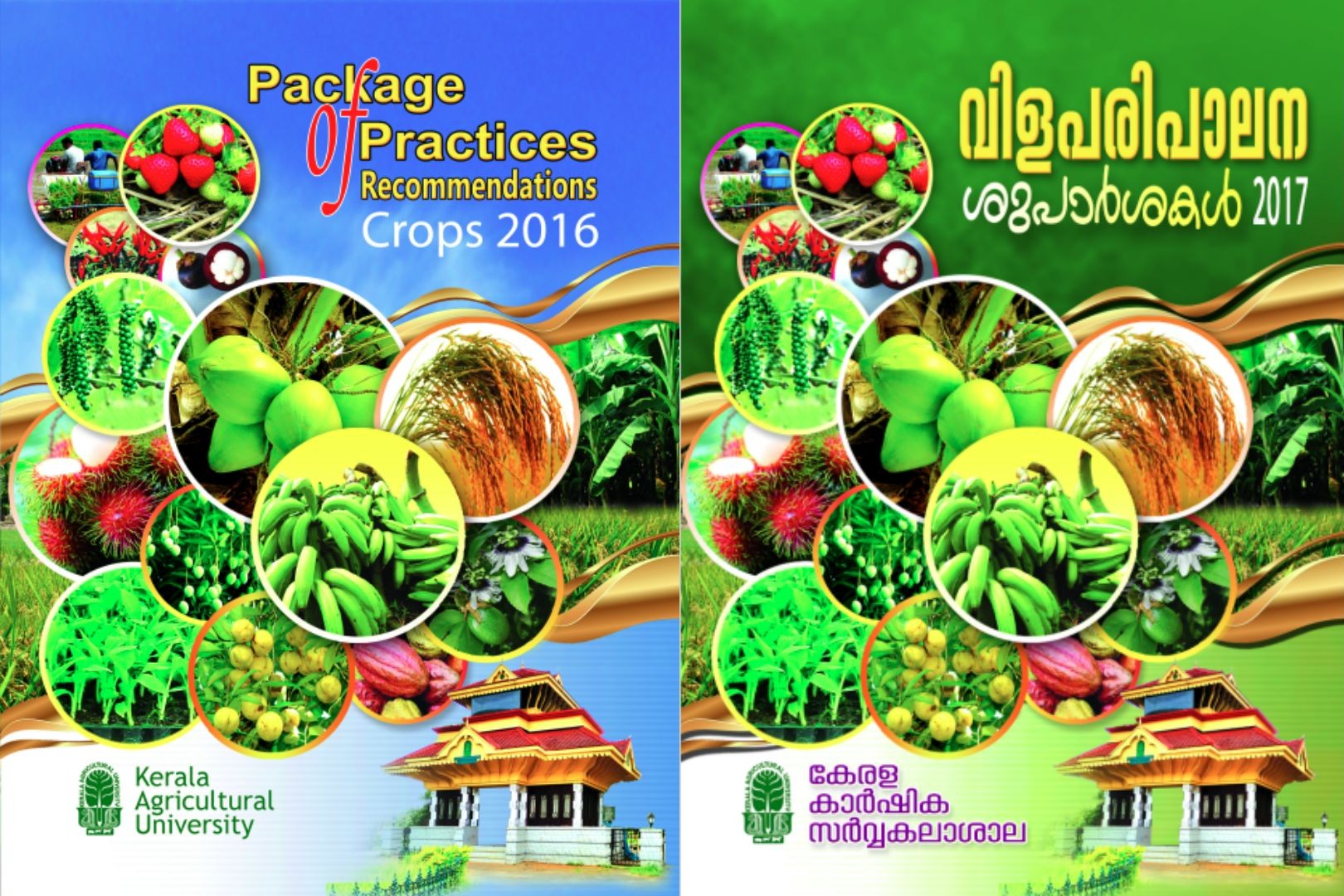 Package of Practices (PoP)