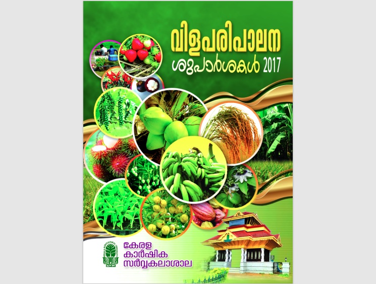 PoP in Malayalam